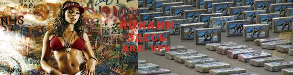 мяу мяу мука Алексеевка