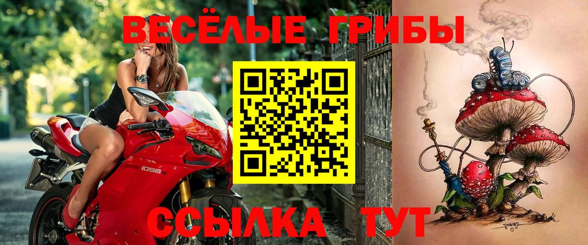 хочу   Вход с VPN  Раменское  Галлюциногенные грибы Cubensis 
